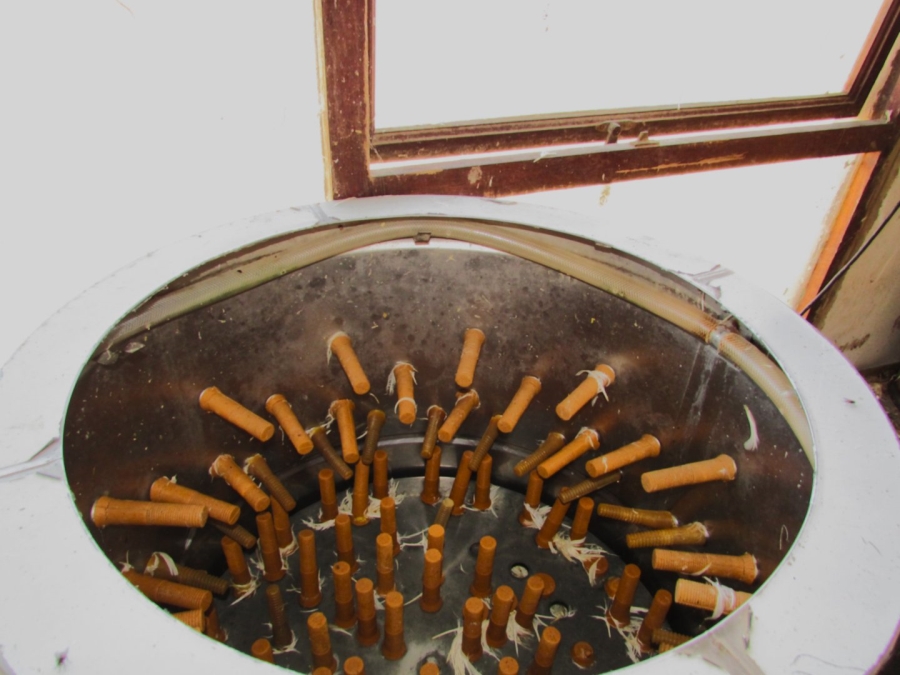 Commercial Property for Sale in Koppies Rural Free State